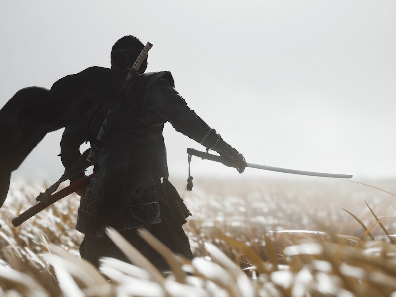 De wereld van 'Ghost of Tsushima' komt zo uit oude samoeraifilms.