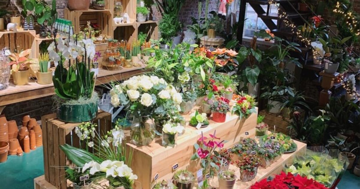 Planten- en bloemenwinkel Boutique Botanique houdt kerstopendeurdagen ...