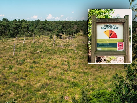 Ondanks code oranje voor brandgevaar, stak de groep een kampvuur aan op de Kalmthoutse Heide.