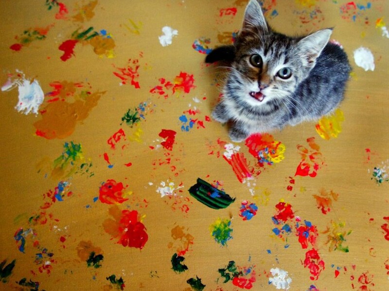 © Brad Newman 2012