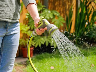 Te veel water geven maakt planten lui: hoe bestrijd je efficiënt droogte in de tuin?