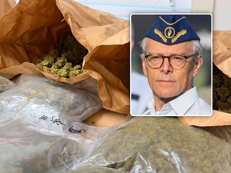 Speurders troffen bij de huiszoekingen heel wat cannabis aan. Foto inzet: korpschef Philip Pirard van Politie Limburg Regio Hoofdstad (LRH).