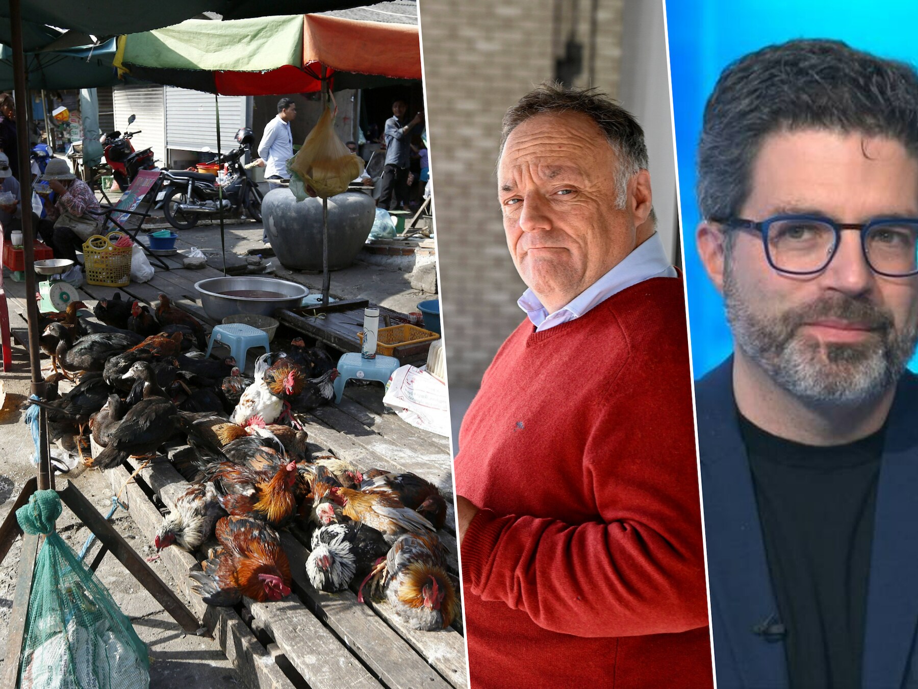 Op een markt in Cambodja worden kippen verkocht. Wordt het vogelgriepvirus ook gevaarlijk voor de mens? Marc Van Ranst en Steven Van Gucht leggen uit.