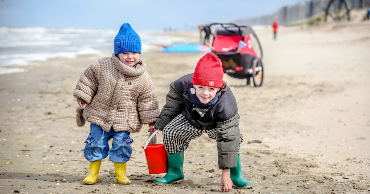 9de editie van Grote Schelpenteldag in Nieuwpoort trekt bijna 100 deelnemers