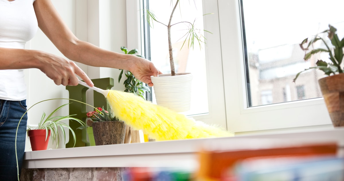 Poetsvrouw (41) die bejaarde klanten beroofde nu vervolgd voor witwassen