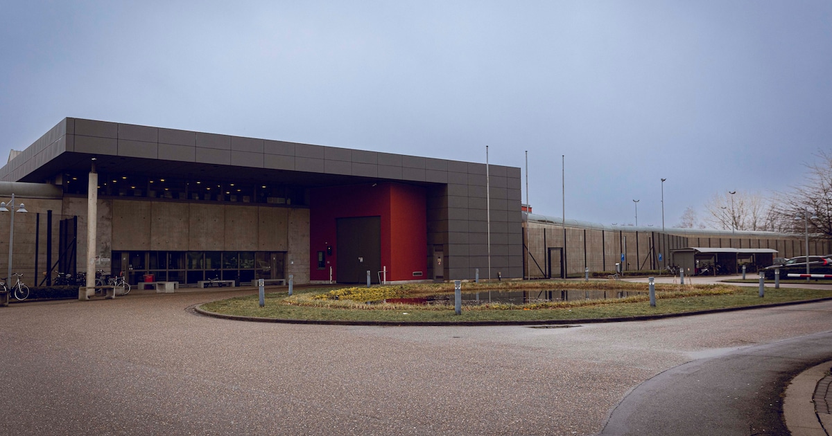 “Ik dacht dat het sigaretten waren”: vader (82) voor rechter nadat hij cannabis en cocaïne binnensmo