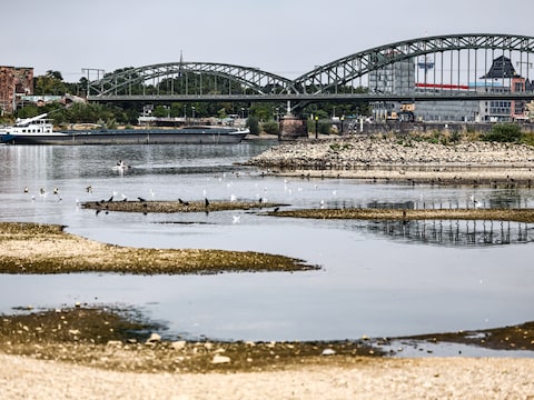 Een binnenvaartschip vaart bij laag water onder de Zuidbrug over de Rijn door, Keulen, 31 juli.