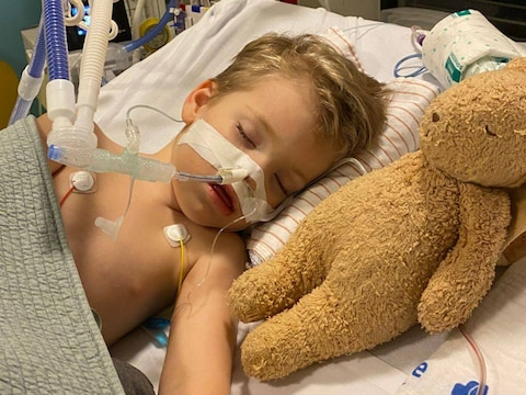 Léon Terneu (2) uit Oosterzele heeft een donorhartje nodig.
