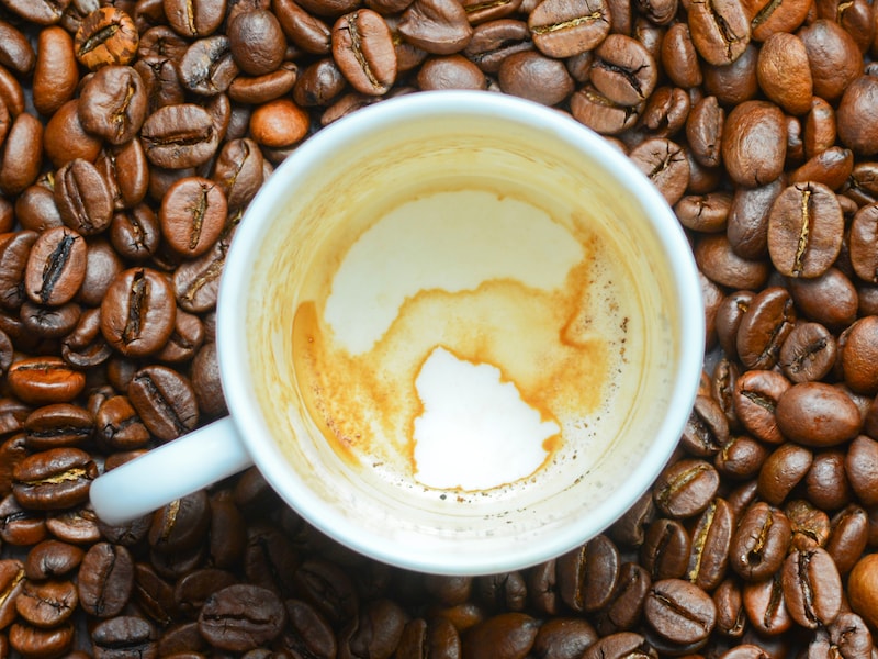 Klimaatopwarming bedreigt onze koffie: “Planten ervaren steeds meer hittestress”