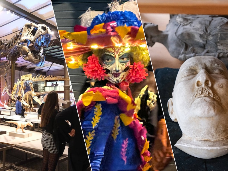 Museum Night Fever, Dia de muertos Brussel en het atelier van Ernest Salu