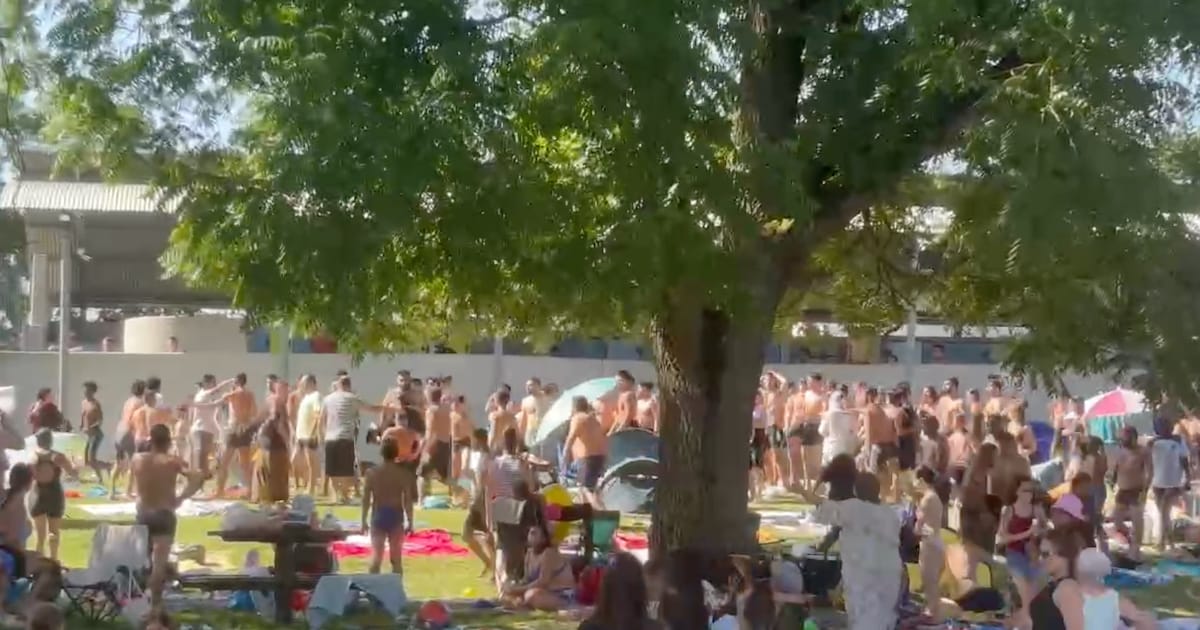 Potjes koken over in openluchtzwembad in Wetteren: “Eén gewonde naar ziekenhuis na massale vechtpart