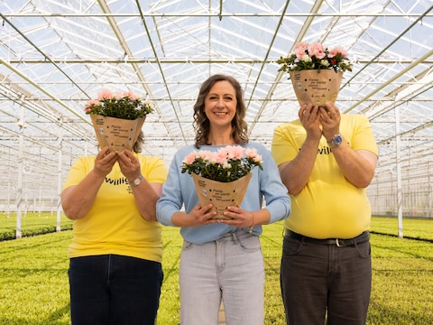 Koop jij een azalea ten voordele van Kom op tegen Kanker?