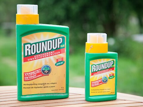 De commerciële versie van glyfosaat: Roundup.