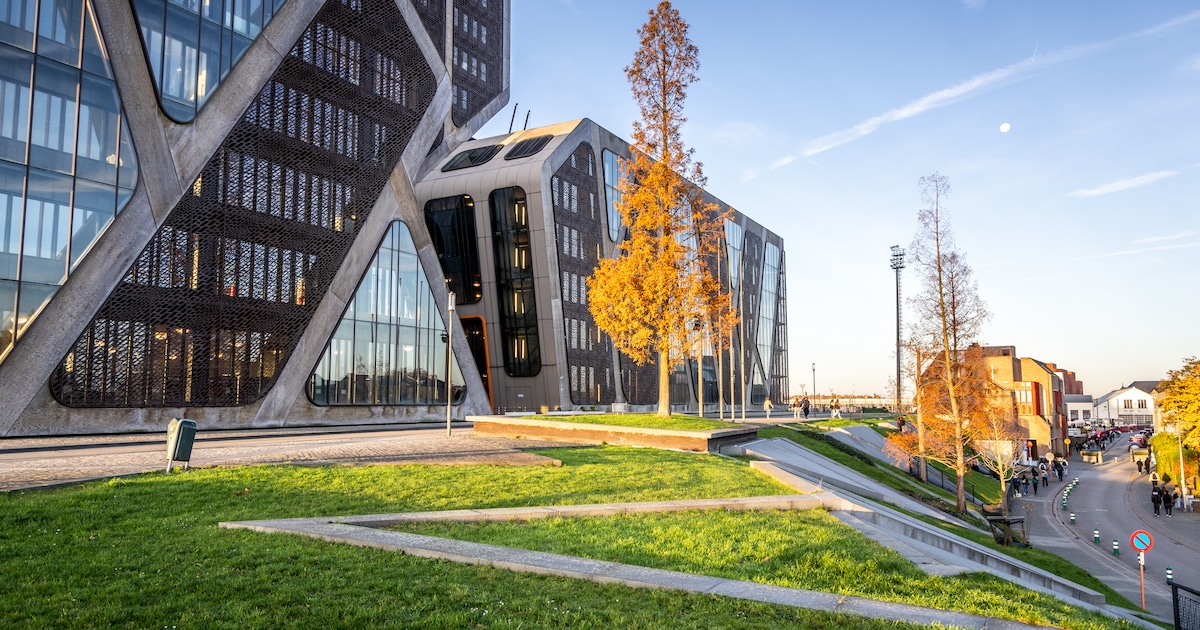 Truienaar (43) krijgt fikse celstraf na brandstichting in Hasselts appartement