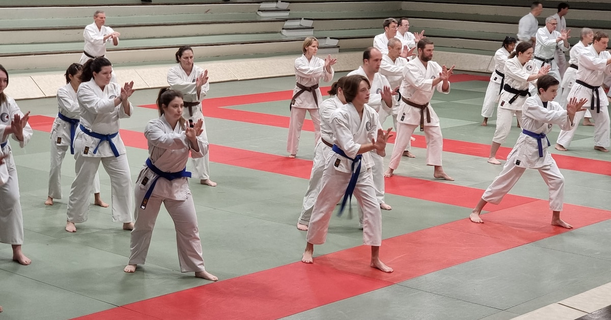Budo Research Centrum Halle organiseert internationale karatestage ...