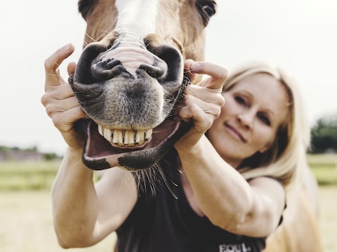 Evy Macquoy maakt hier de kauwspieren en het kaakgewricht van het paard los.