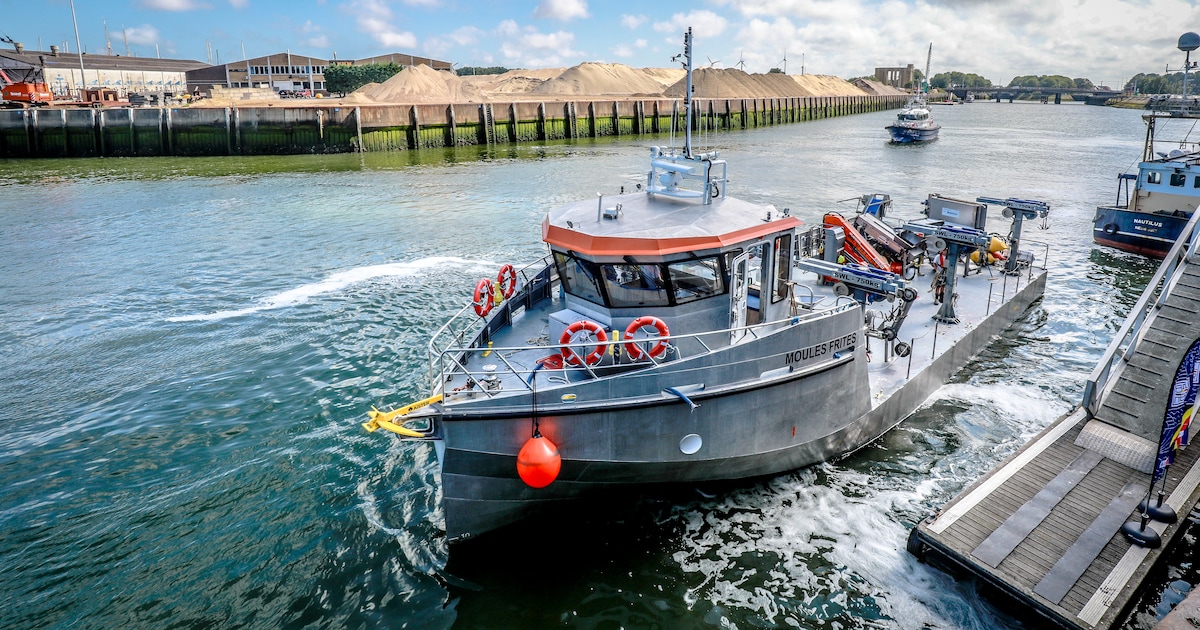 Meer dan 100 ton Belgische mosselen geoogst voor kust van Nieuwpoort