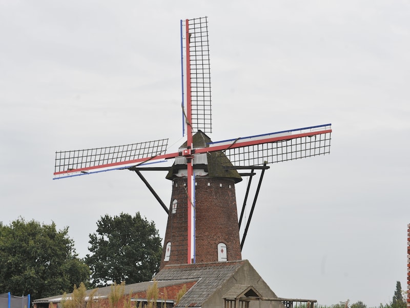 Berendrechtse windmolen opent op Provinciale Molendag de deuren