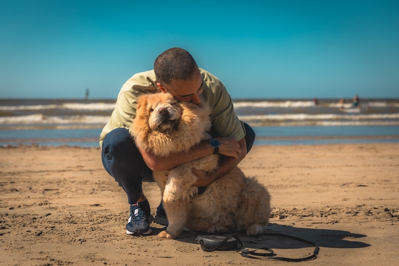 CD&V-voorzitter Sammy Mahdi met zijn chowchow Pamuk.
