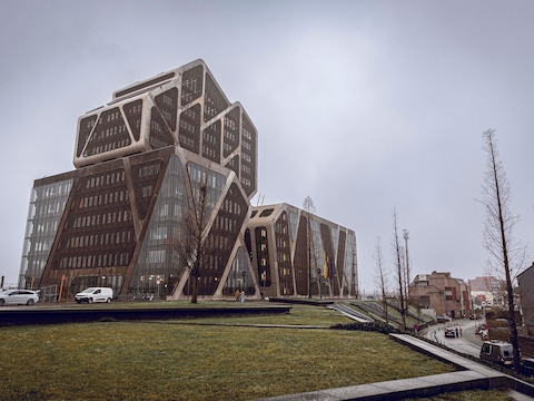 Rechtbank van Eerste Aanleg Limburg, afdeling Hasselt. 