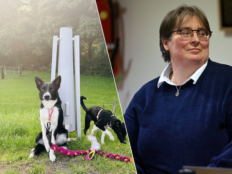 De honden van schepen Wauters poseren voor het type zuil dat ook in Keerbergen zal geplaatst worden. / Gemeenteraad Keerbergen. An Wauters