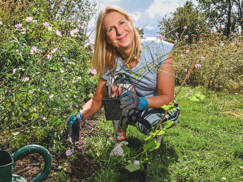 Deze 10 planten overleven de hete zomer én de natte Vlaamse winter: “Plant ze nu en bespaar jezelf veel gietwerk”