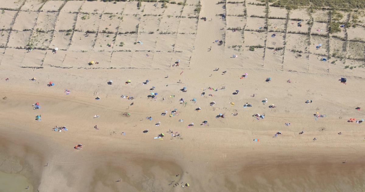 man-laat-zich-oraal-bevredigen-in-duinen-bij-naaktstrand-en-riskeert-7