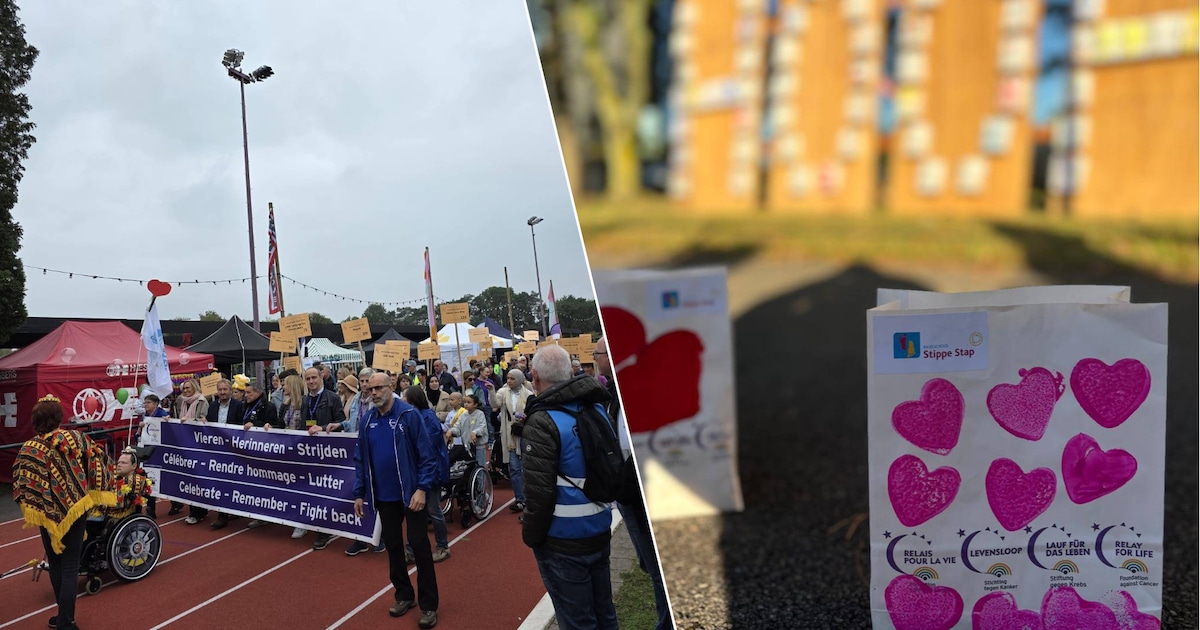 Basisschool Stippe Stap wandelt mee tijdens de Levensloop: “Elk stapje ...