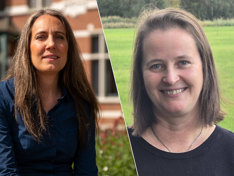 Nieuwe voorzitter voor Vlaams Belang Niel: Wendy Haguinet neemt fakkel over van Caterina Carrozzo
