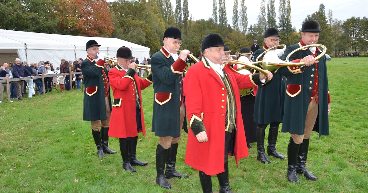 Sint-Hubertusviering in Heusden met ruiters, honden en afterhunt