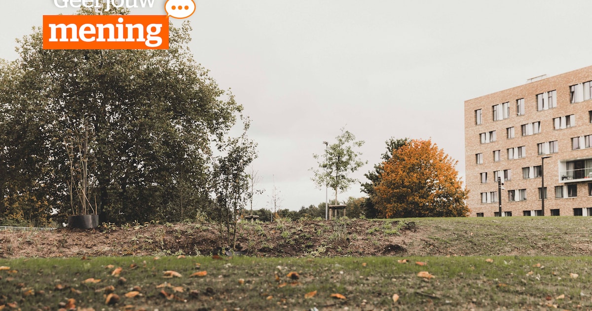 OPROEP. Waar kan Hasselt nog wat extra groen of water gebruiken?