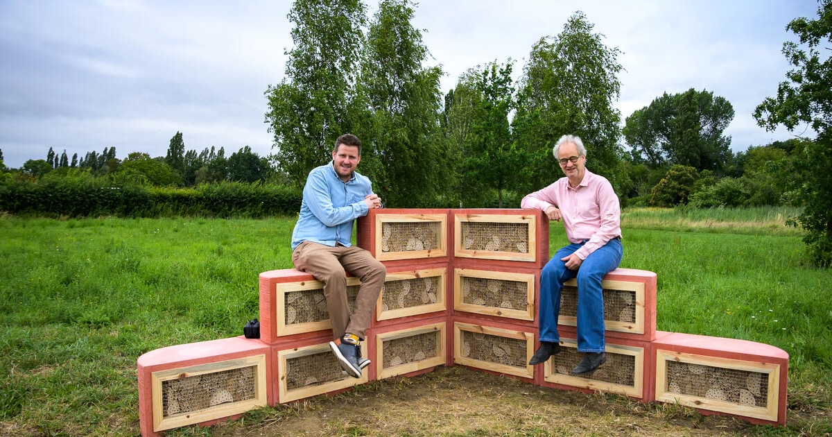 Nieuwe insectenhotels in Deurnese volkstuinen: “Ook insecten hebben nood aan veilige plekken”