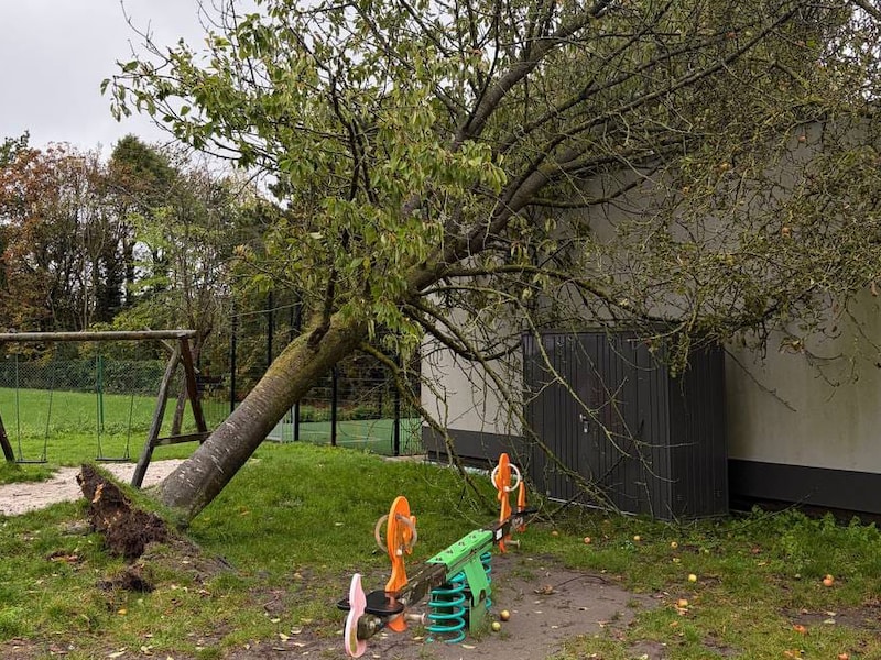 In Velle kwam een boom terecht op een bijgebouw van de school