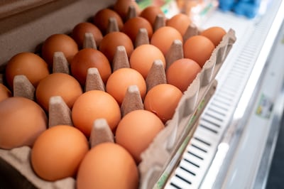 Belgen kiezen vaker voor eitje op hun bord