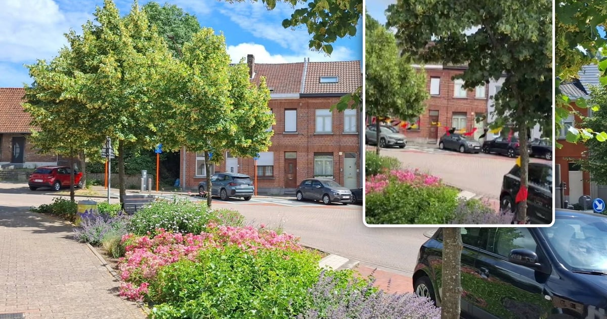 Gezellige WK-sfeer in Halle is plots verdwenen: stad haalt vlagjes ...