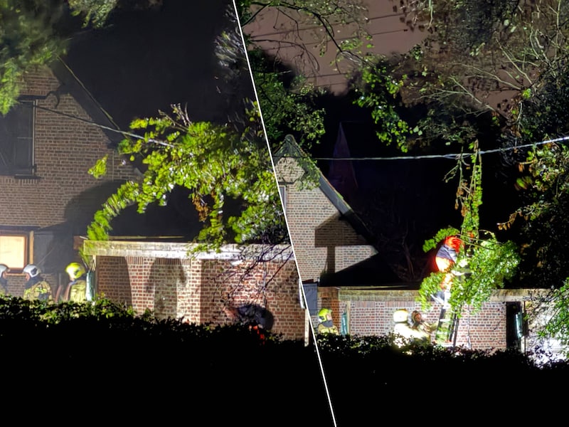 De brandweer kwam ter plaatse om de boom te verwijderen.