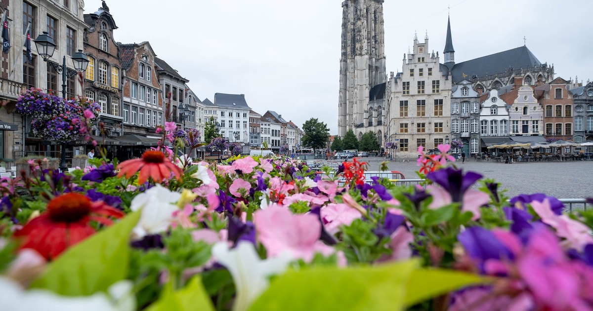 “Ze kwamen speciaal naar België om diefstallen te plegen”: man (42) en vrouw (36) stelen dure merkha