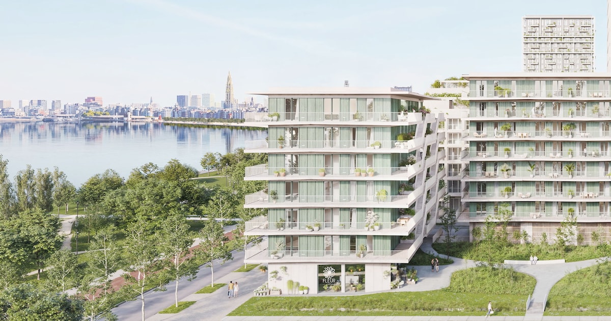 Nieuw Zuid breidt uit met woonproject Scheldetuin | Antwerpen | HLN.be