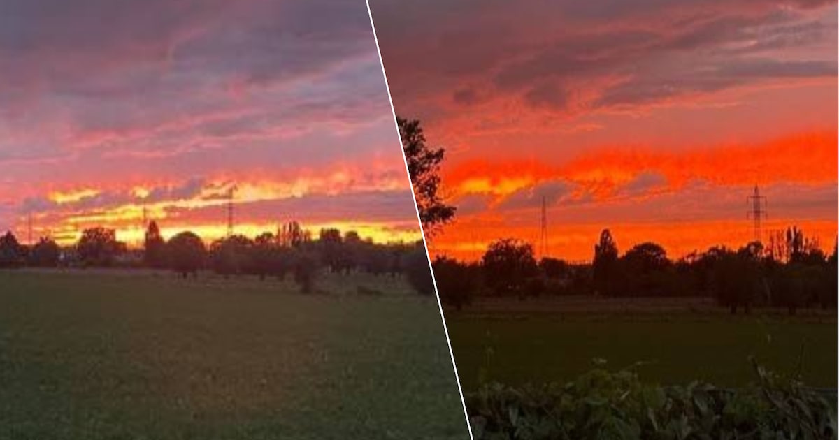 Wolken kleuren fel oranje en roze boven de velden van Schelle