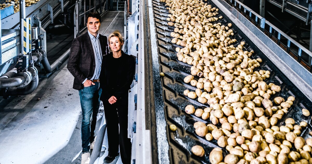 België is meer dan ooit frietkampioen: bijna een kwart miljard euro ...