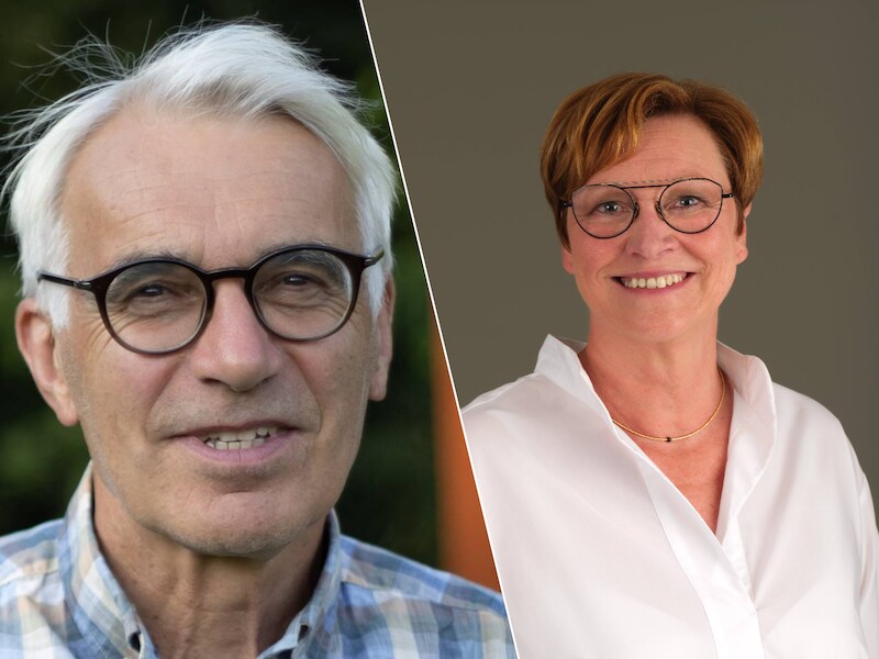 Groen Lede vreest dat het groene park in de wijk Hulst het kind van de rekening wordt: “We willen tot een project komen dat zoveel mogelijk rekening houdt met de noden en verwachtingen van de omgeving”