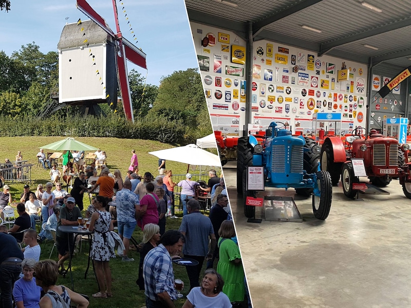 Wat te doen in de Kempen dit weekend? Van Pridefestival in Turnhout tot Molenfeesten in Kasterlee
