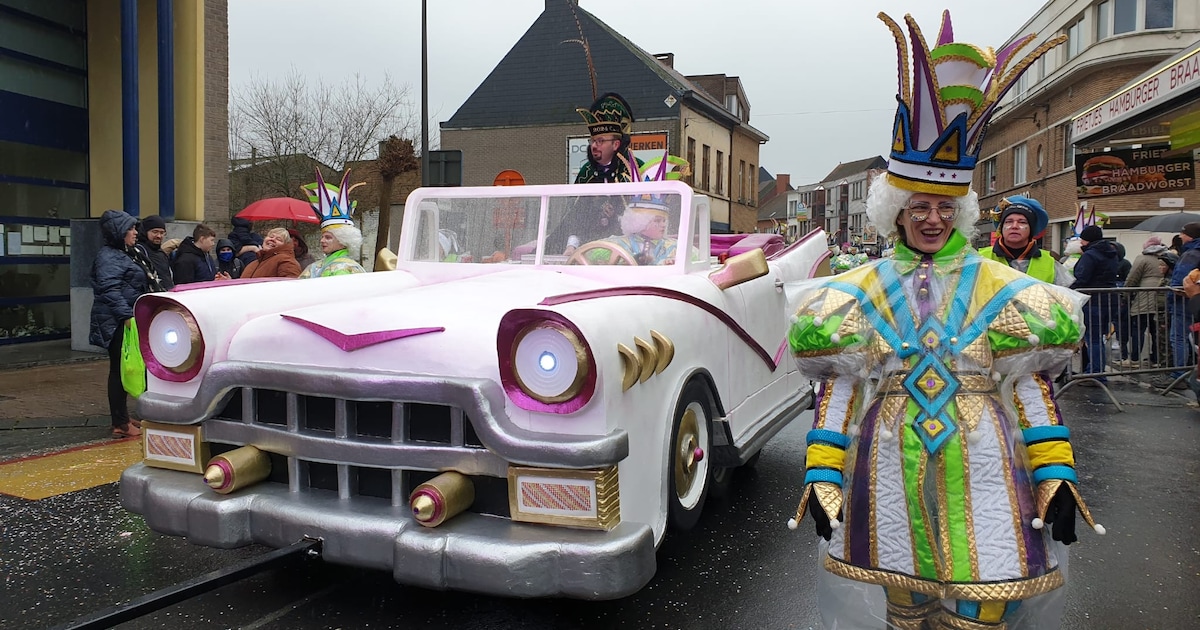 IN BEELD. Regen bederft pret niet bij carnavalsstoet in Ninove | Regio ...