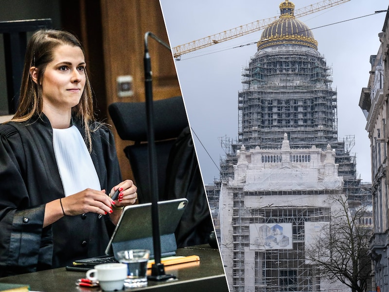 Tine Decoster / justitiepaleis Brussel