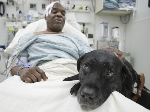 Cecil en Orlando herstellen samen in het ziekenhuis.