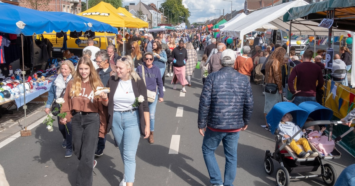 Dorpsdag brengt verenigingen, handelaars en animatie samen in centrum ...