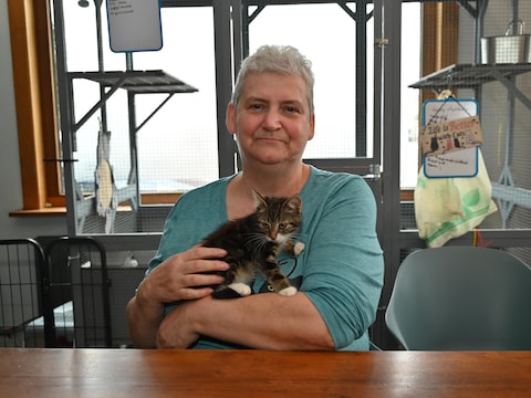 Sigrid Seurs van het Wase Poezenhuisje