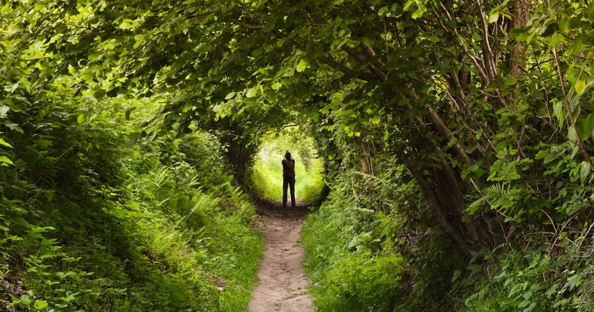 Wandelen langs holle wegen: verken het landschap rond Vossem | Regio ...