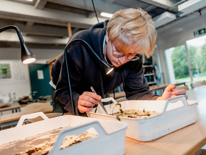 1.600 laatstejaars proeven van hoger onderwijs bij PXL en UHasselt