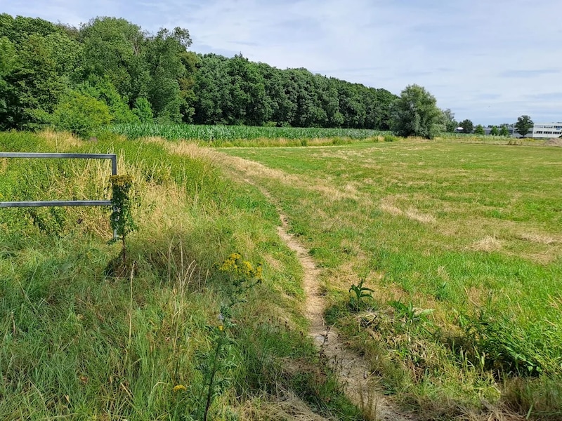 Het gebied langs de Kleine Struisbeek in Wilrijk wordt aangepakt. 